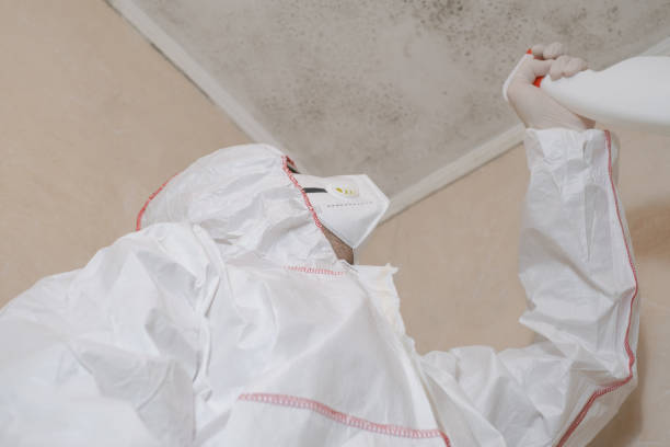 Professional Mold Remediation in Fremont, CA